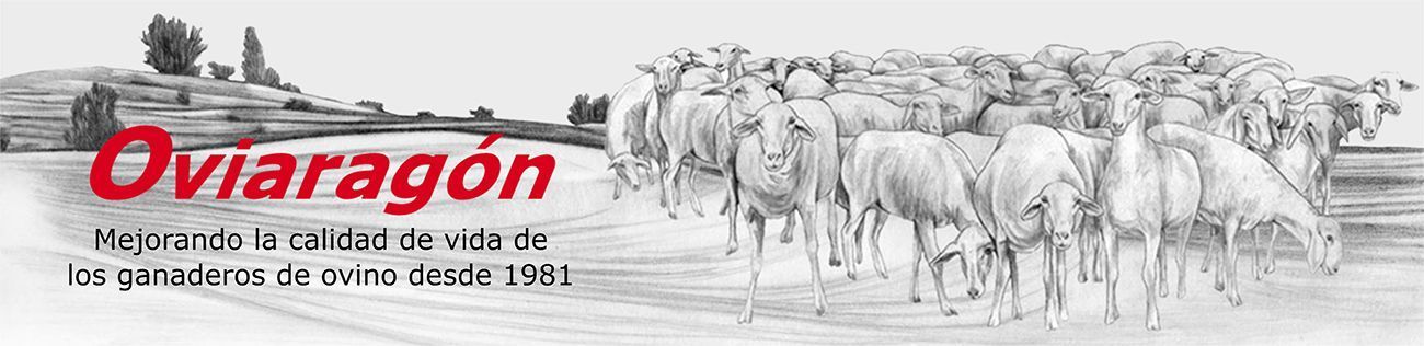Cooperativa de ovino Oviaragon