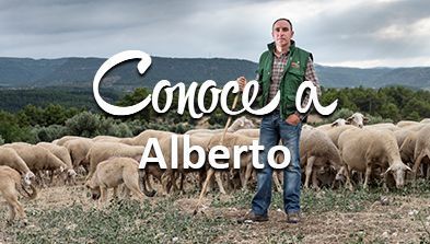 alberto-ternasco