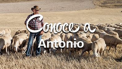 antonio-agnei