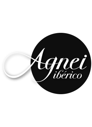 Logo Agnei