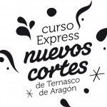 logo curso express