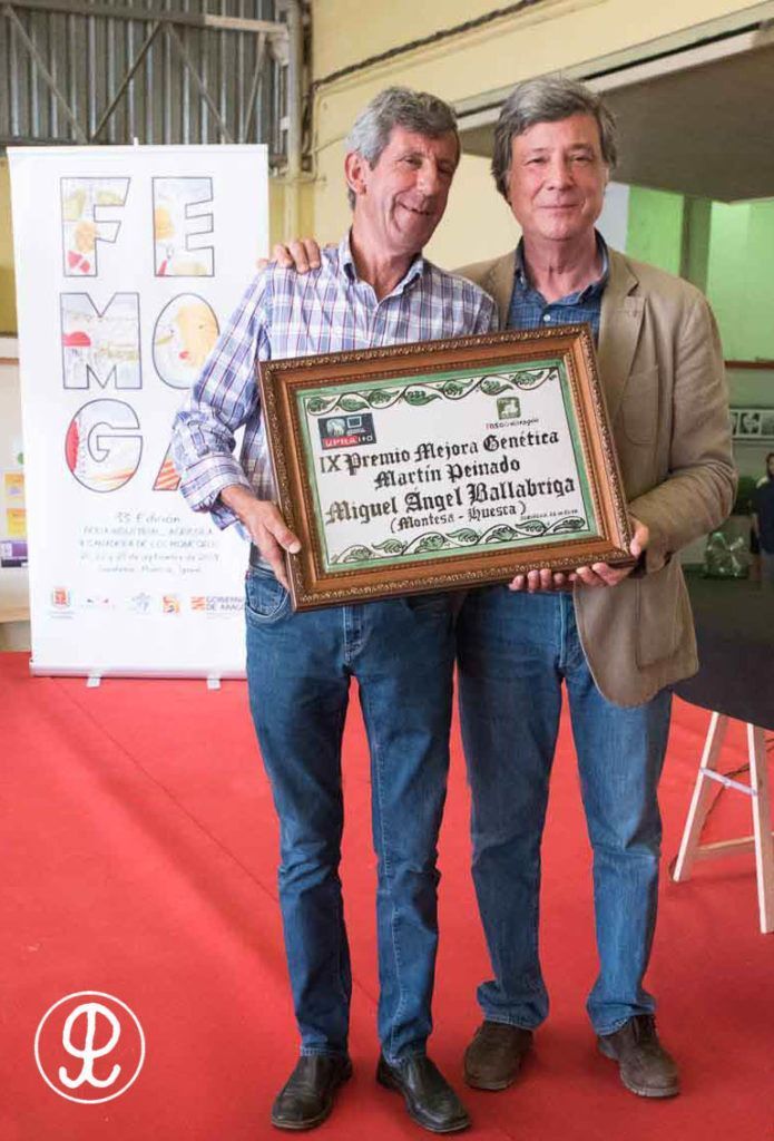 entrega premios FEMOGA 2018