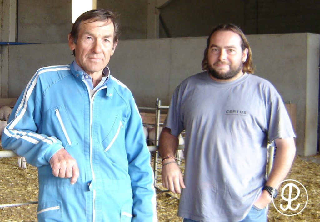 ganaderia ovino