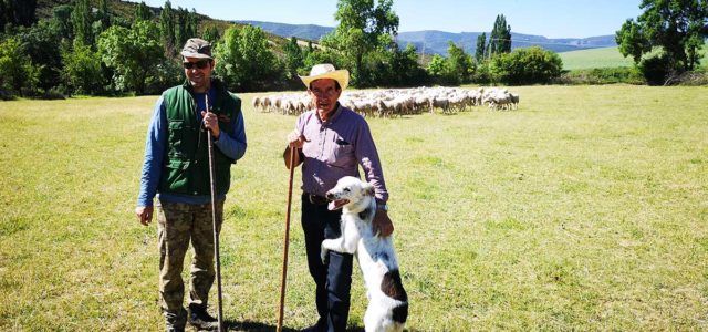 noves huesca