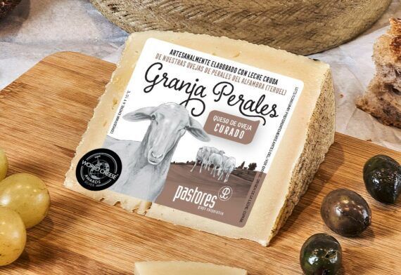 cuña de queso curado pastores