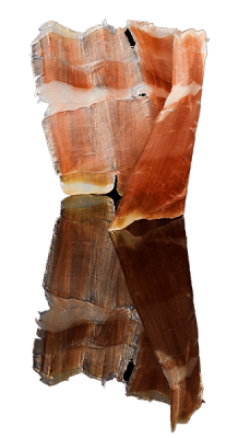 jamon-de-cordero-filete